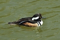 19 04 15_3350_edited-1